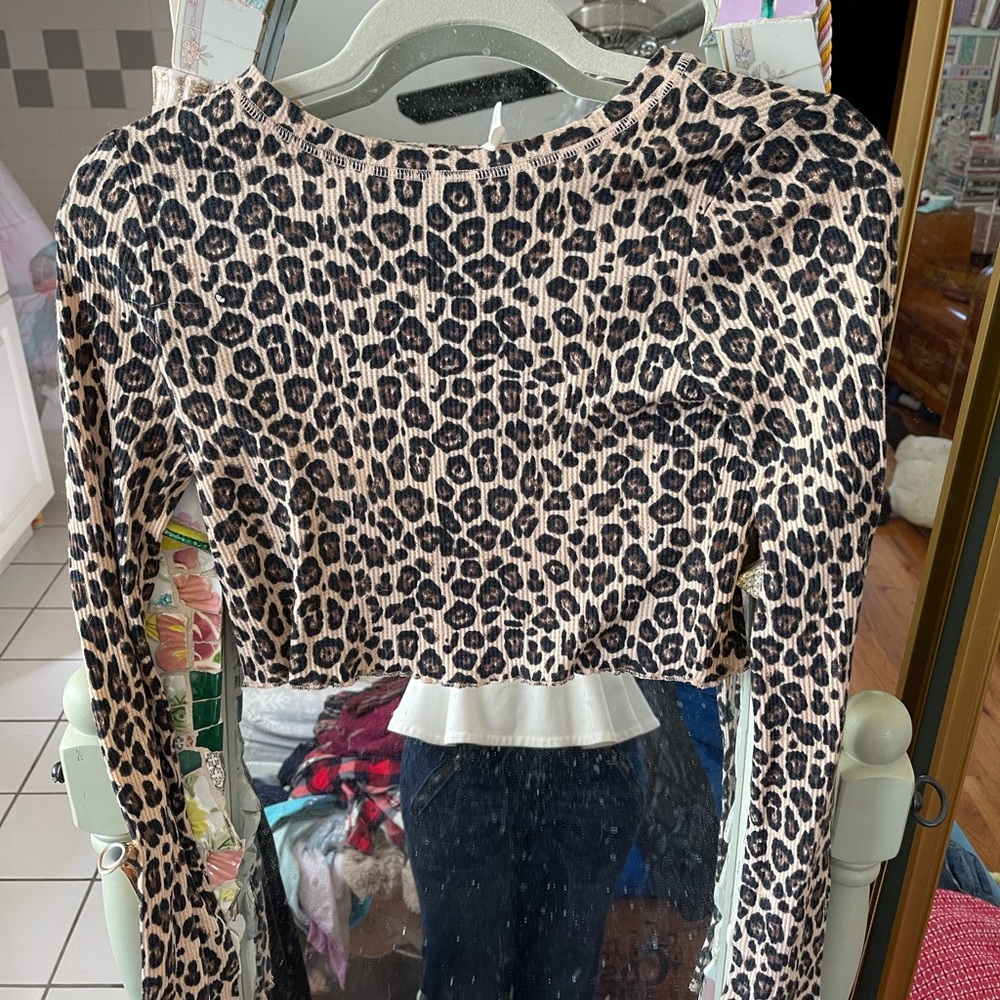 Passing Leopard Long Sleeve Crop Top